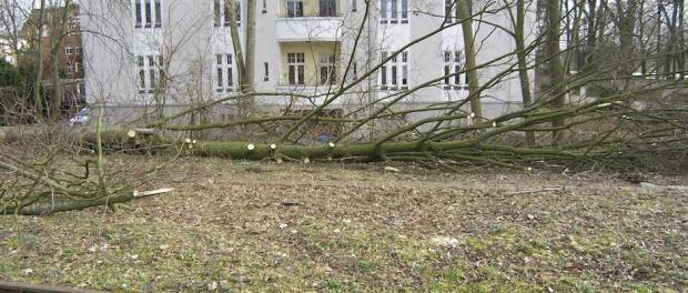 17310369_1143113499145325_597353991462368967_o