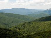 Bieszczady - park narodowy i jednocześnie obszar Natura 2000.