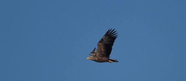 46104926_279866339385592_8561035827239452672_n