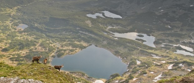 z-20140611_021_wilkt