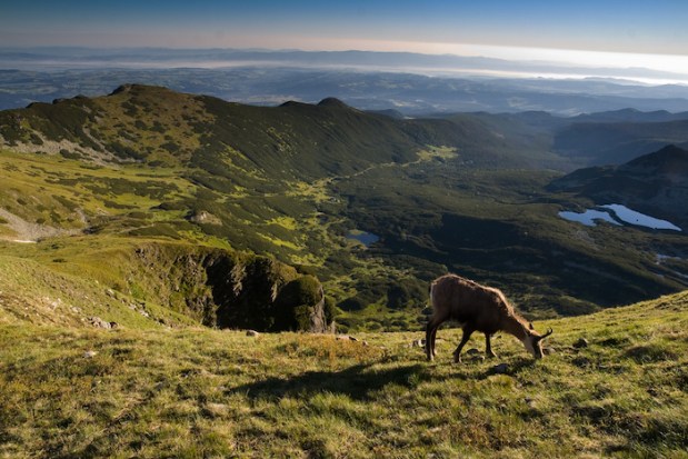 z-20140704_037_wilkt