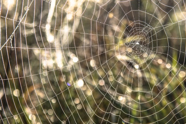 Z-20160909_016_WilkT