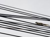 Fot. Kornelia Kucharska i Dariusz Kucharski