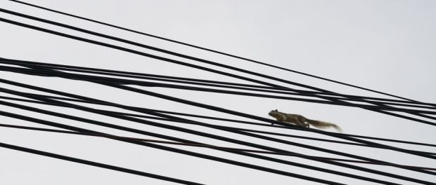 Fot. Kornelia Kucharska i Dariusz Kucharski