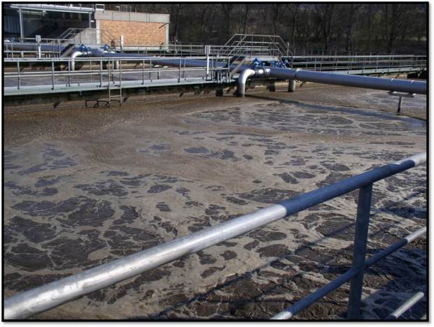 Fig 1. Komora z osadem czynnym