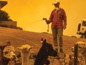 Okładka "Czarne Lato" Szymon Drobniak