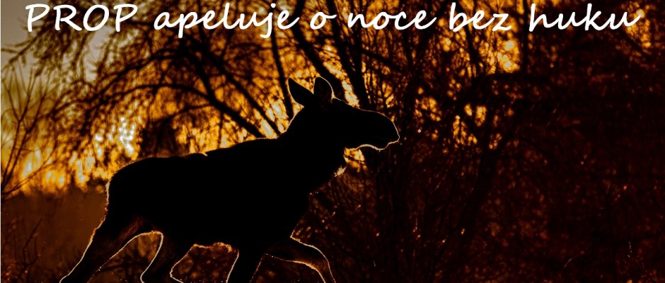 łoszak o zachodzie Słońca